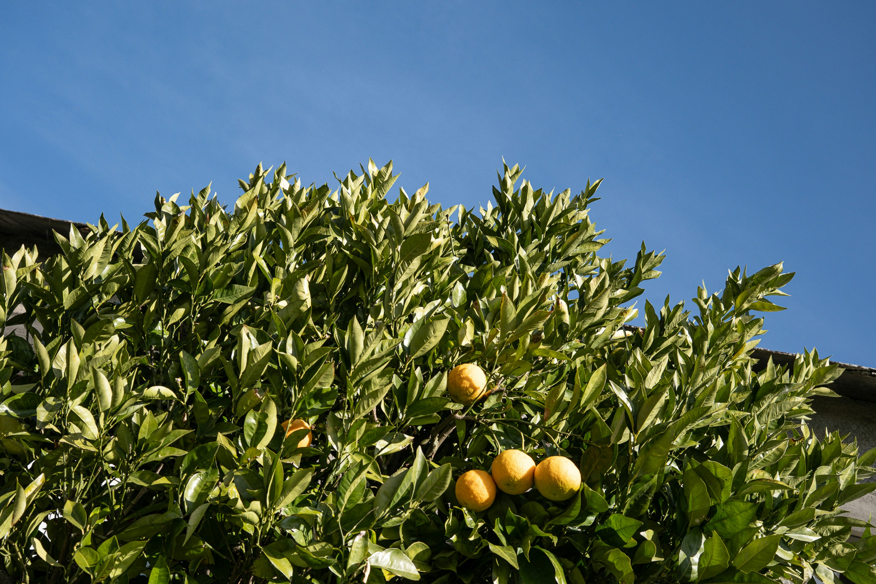 Photo by cestmoisheedy