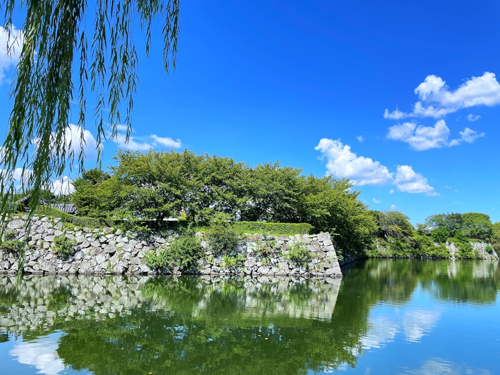 a body of water surrounded by a lush green forest