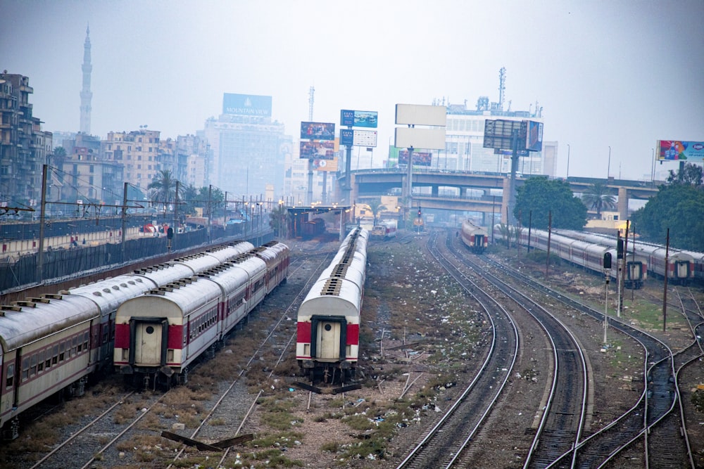 a couple of trains that are sitting on the tracks