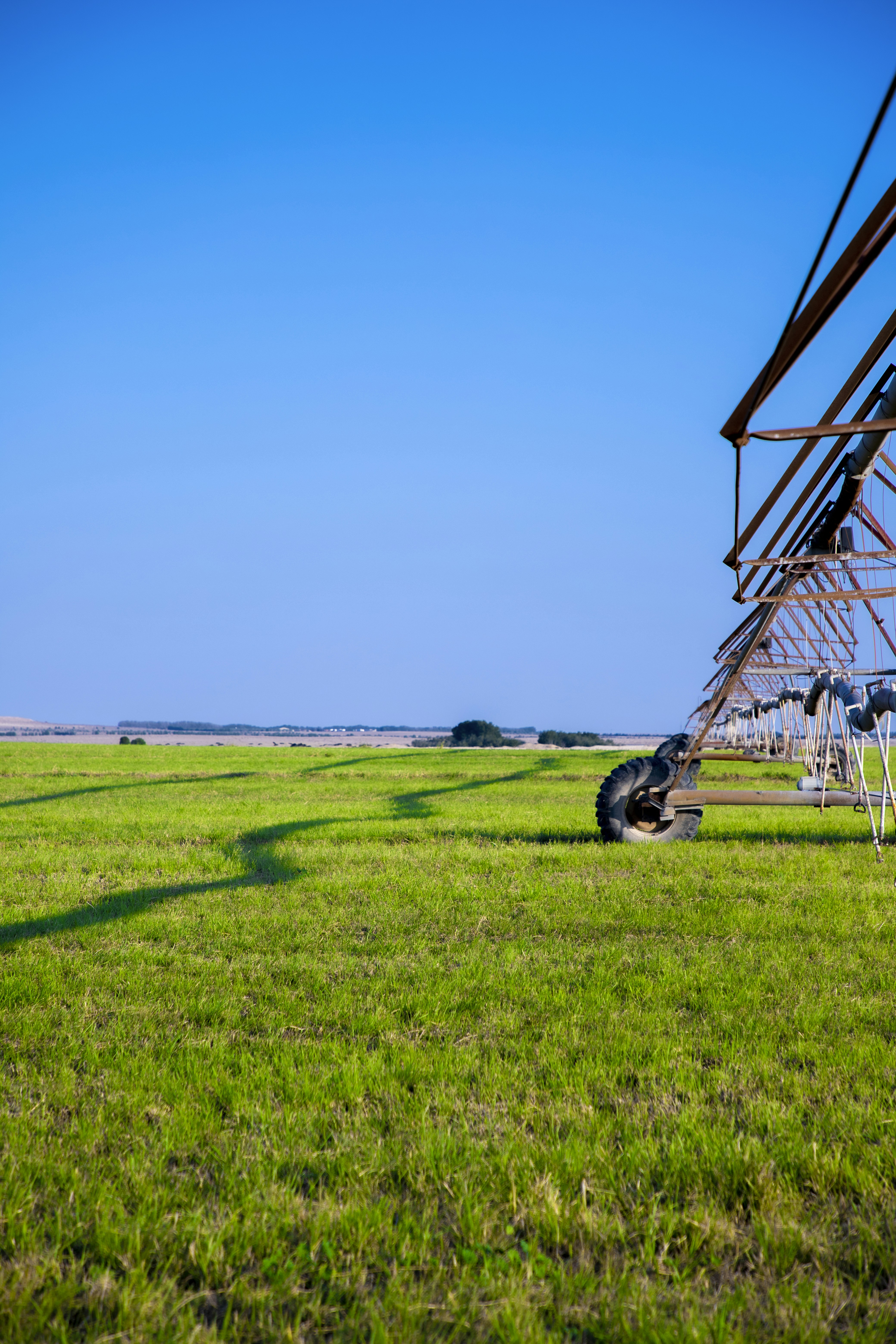 a large metal structure sitting on top of a lush green field