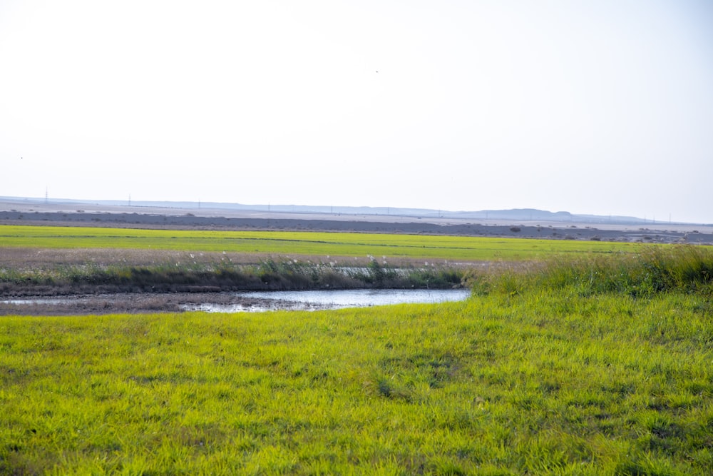 a grassy field with a stream running through it