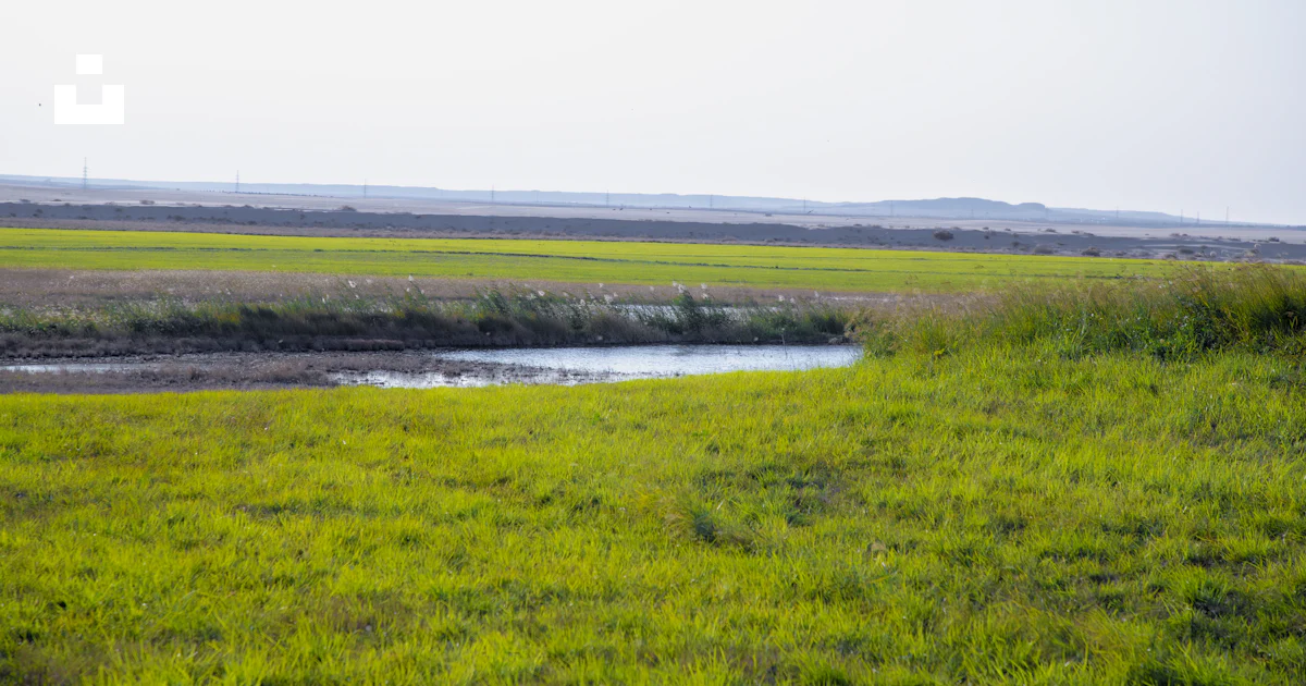A grassy field with a stream running through it photo – Free Land Image ...