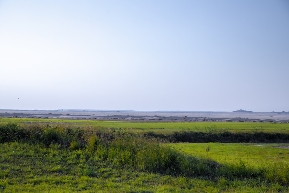 a large open field of grass with a sky background