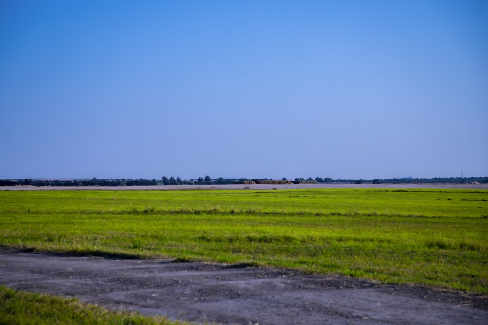 a field of grass with a dirt road in the foreground