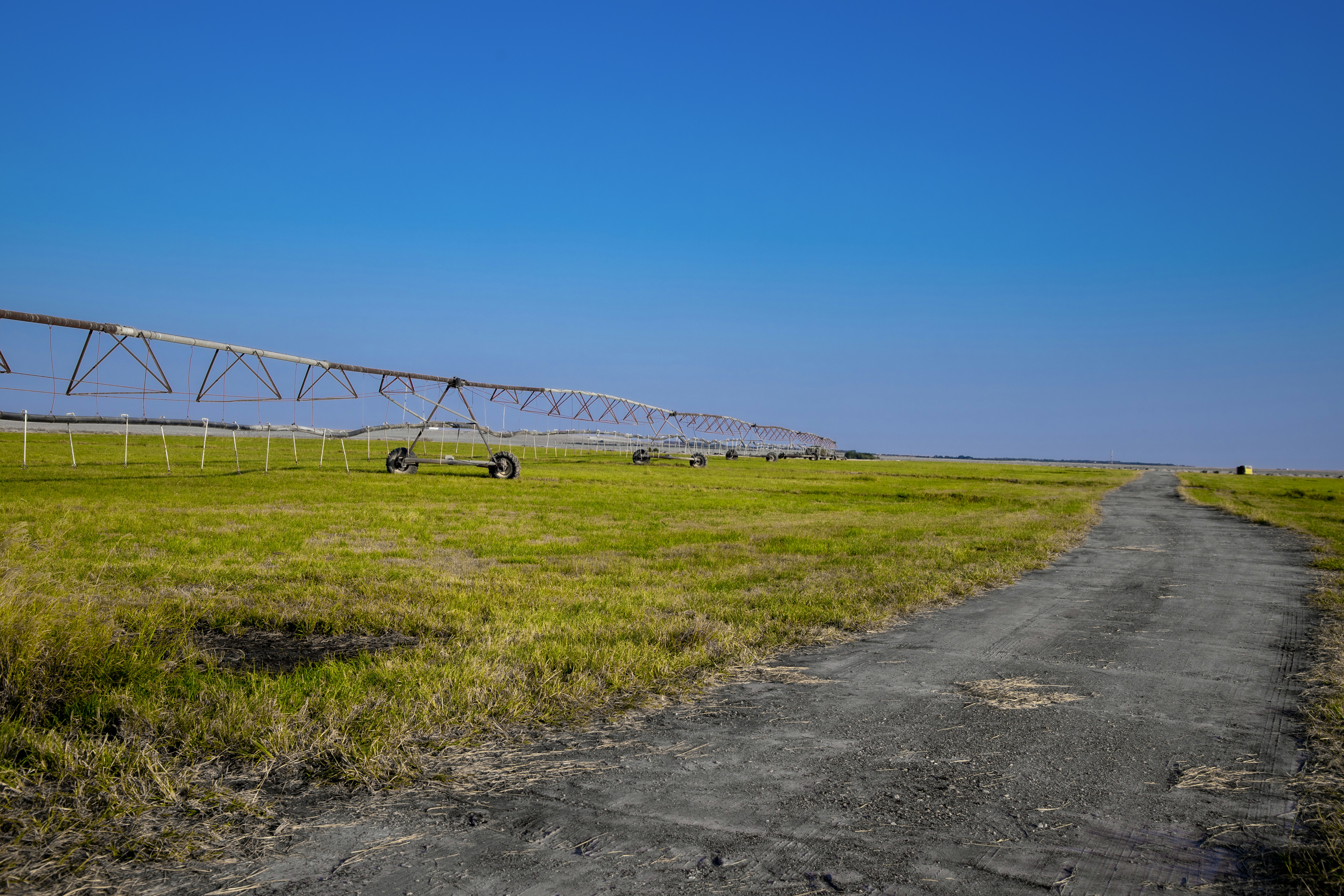 a farm field with a line of sprinklers in the distance
