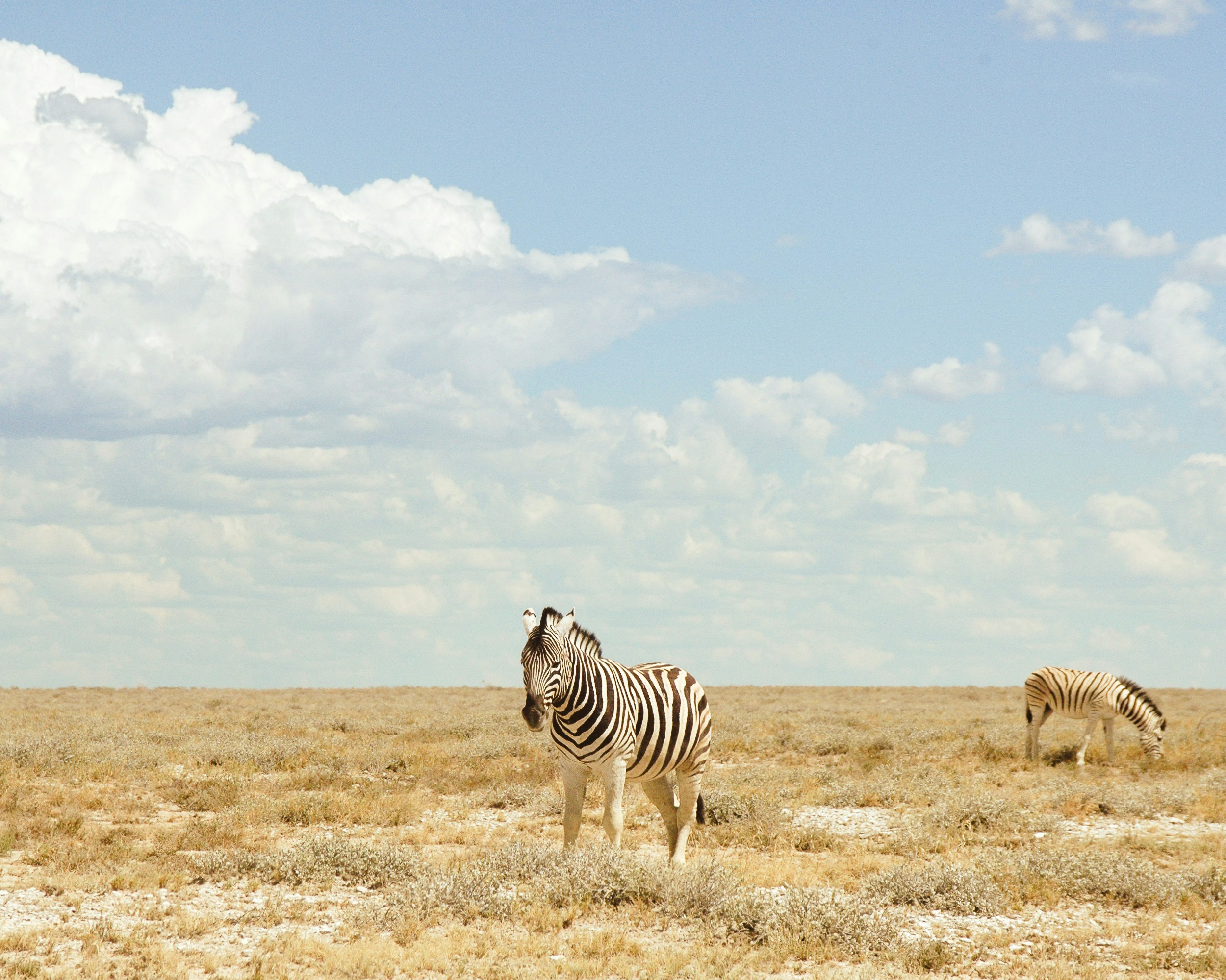 Stay online in the Namibia with a prepaid eSIM from eSIMlii. Instant activation, no roaming charges, and reliable coverage.