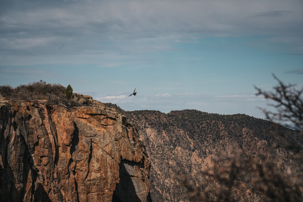 a bird flying over a cliff on a cloudy day