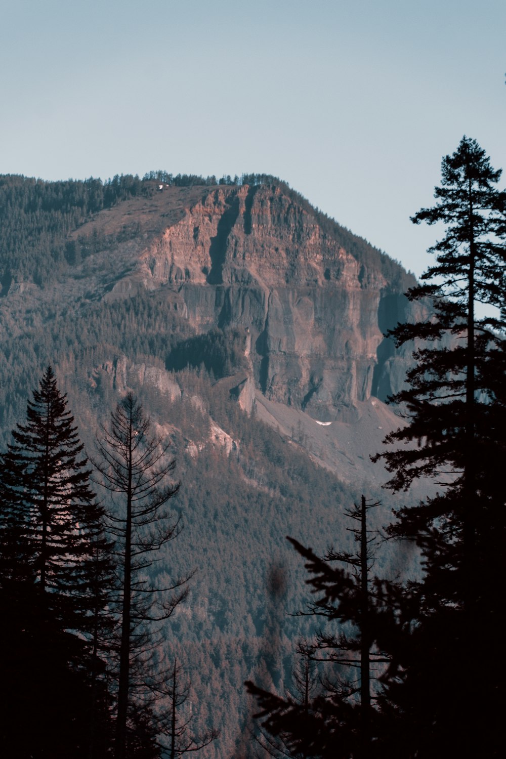Una vista de una montaña con árboles en primer plano