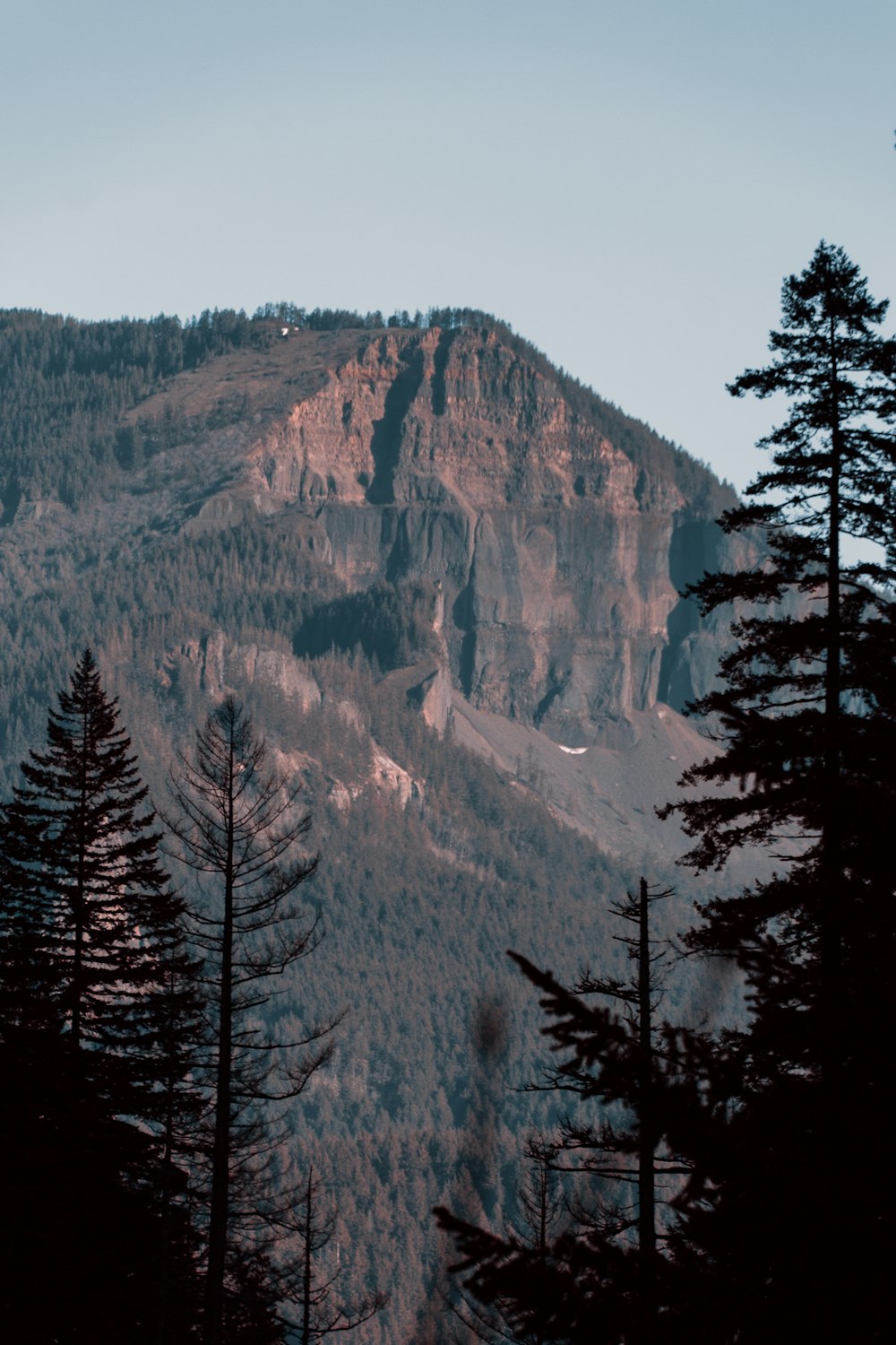 a view of a mountain with trees in the foreground