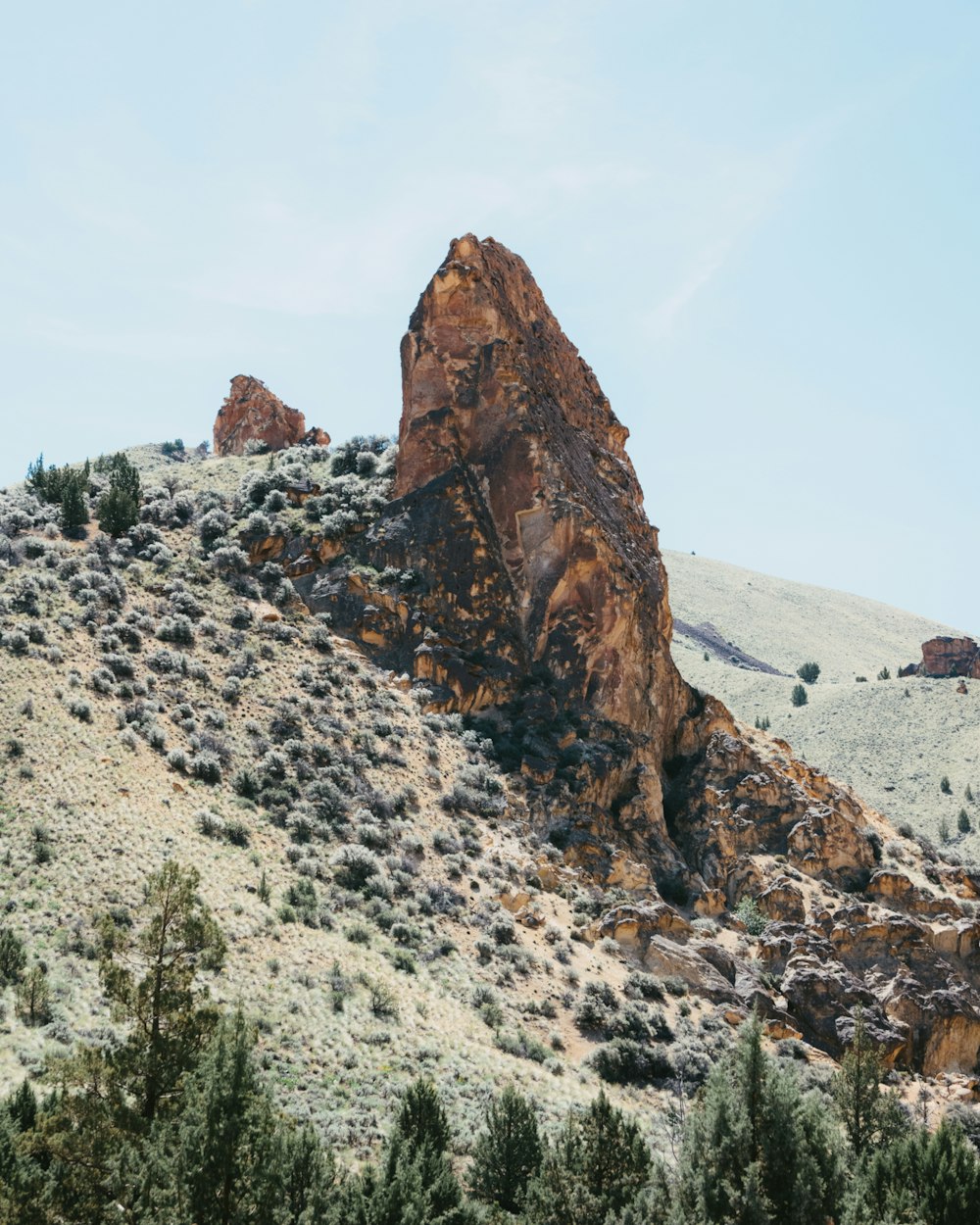 a large rock sitting on top of a lush green hillside