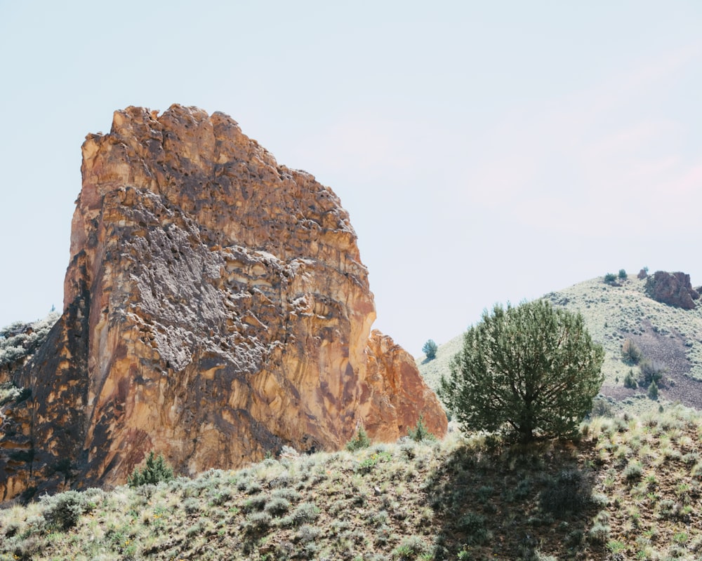 a large rock in the middle of a field