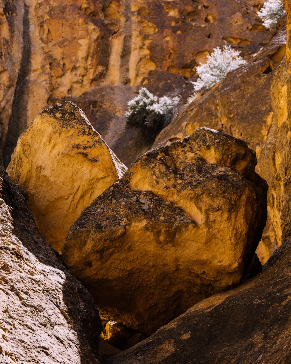 a rock formation in the middle of a canyon