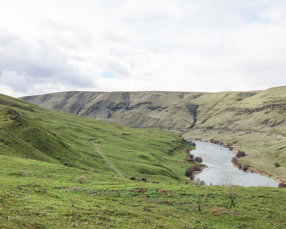 a river running through a lush green valley