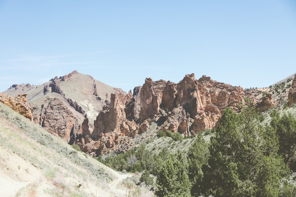 a view of a mountain range with trees in the foreground