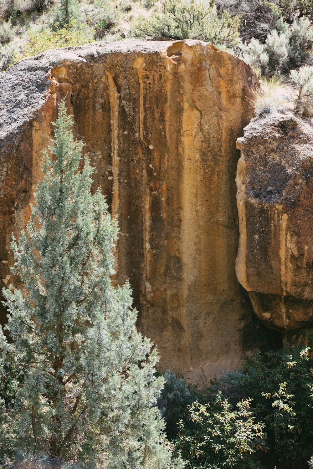 a large rock formation in the middle of a forest