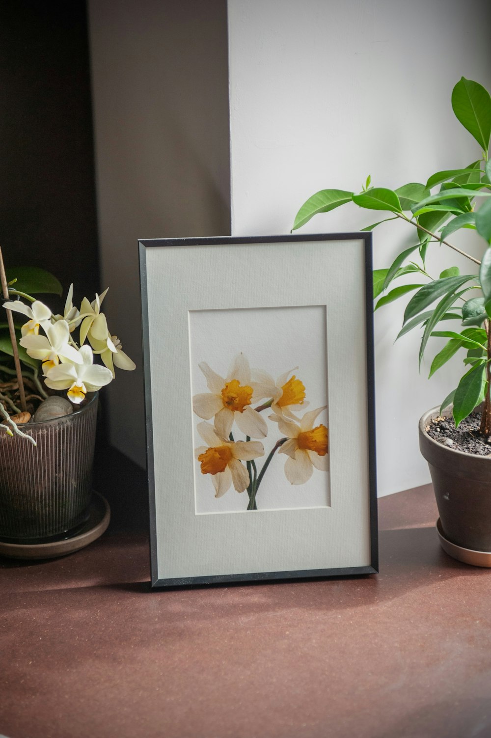 a potted plant and a picture frame on a table