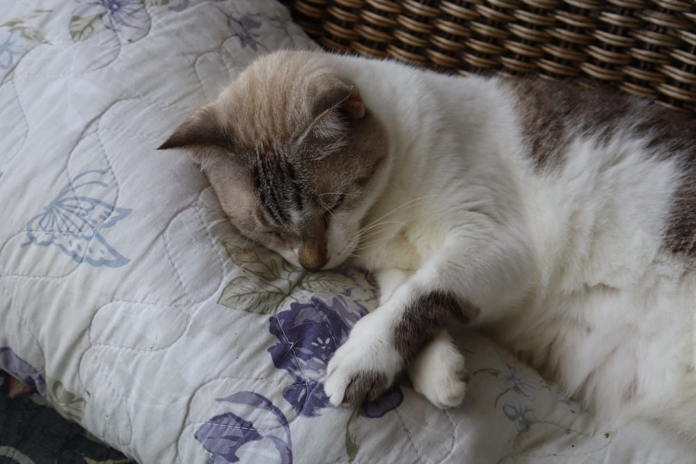 a cat is sleeping on a quilt on a bed