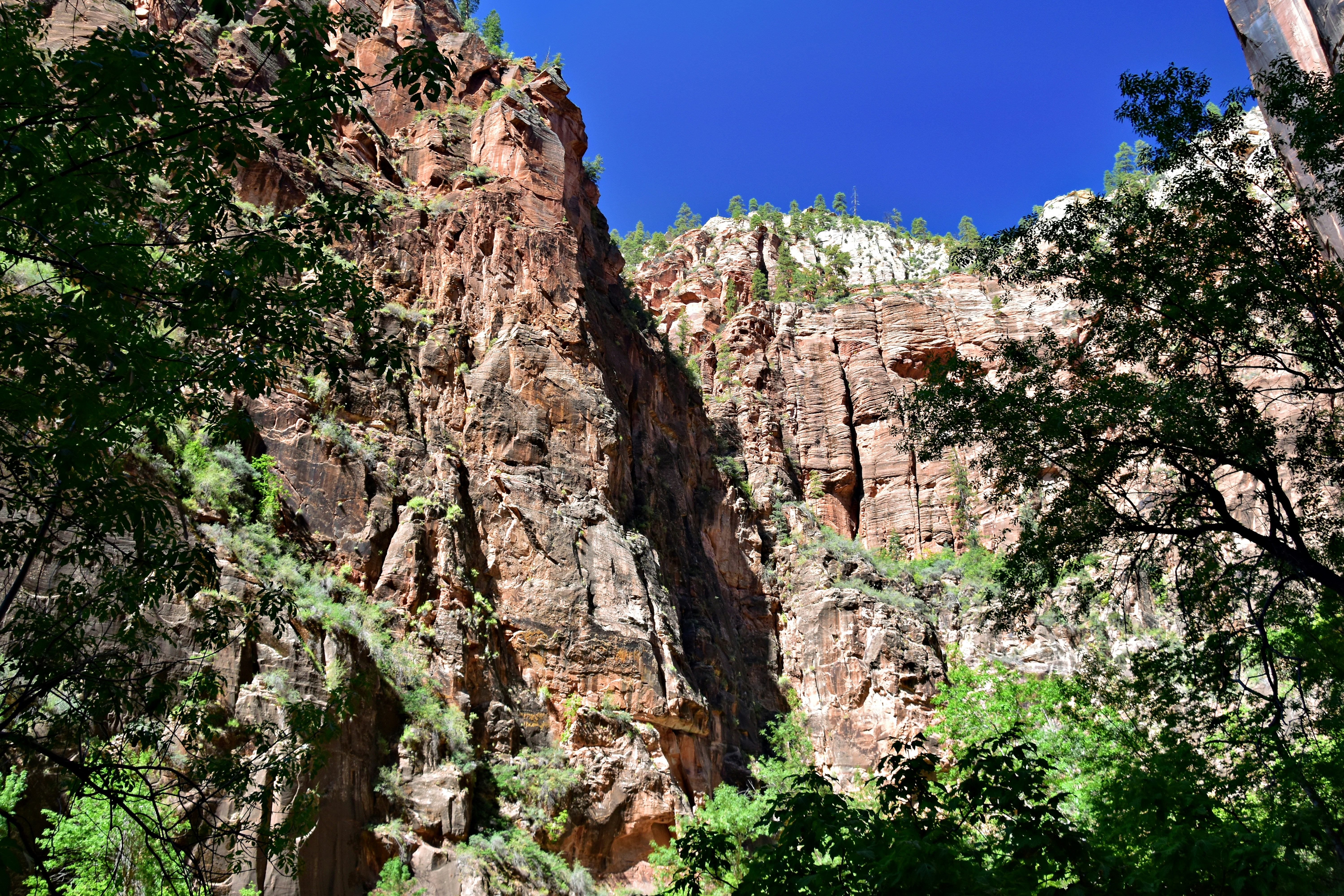 a view of a rocky mountain with trees in the foreground