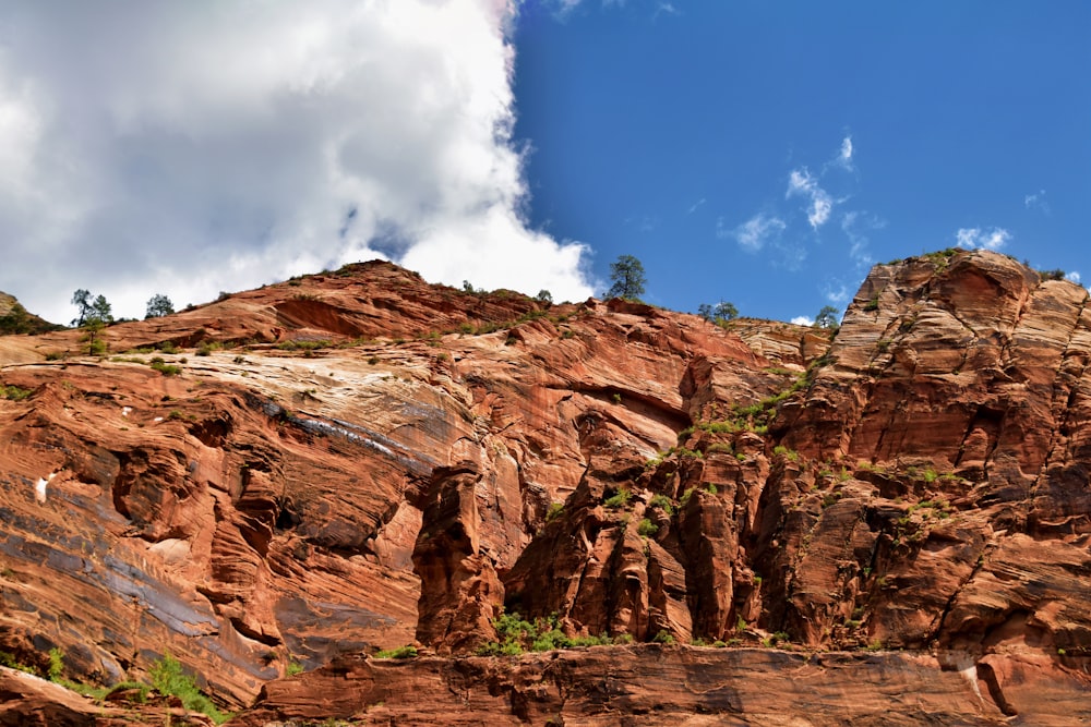 a rocky mountain with a few trees growing on it