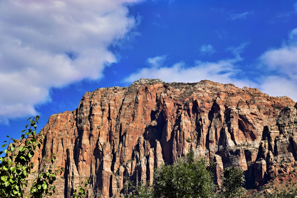 a very tall mountain with some trees in front of it