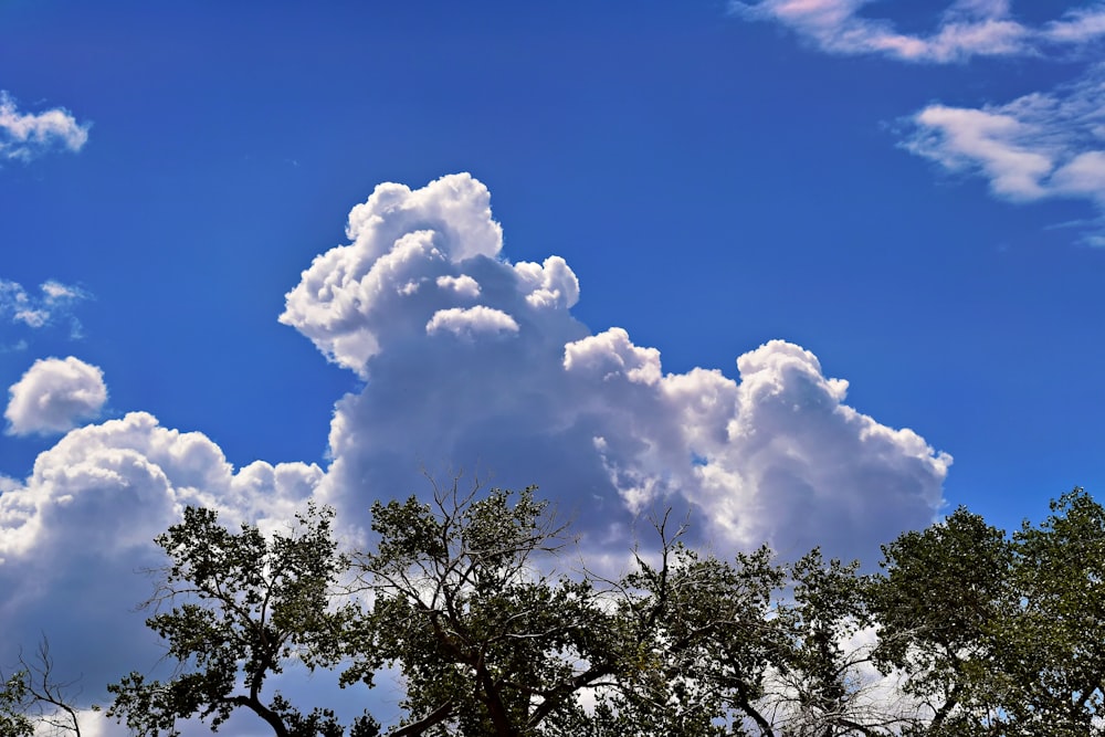 a blue sky filled with lots of white clouds