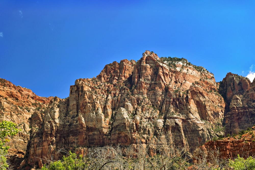 a rocky mountain with trees and bushes in the foreground