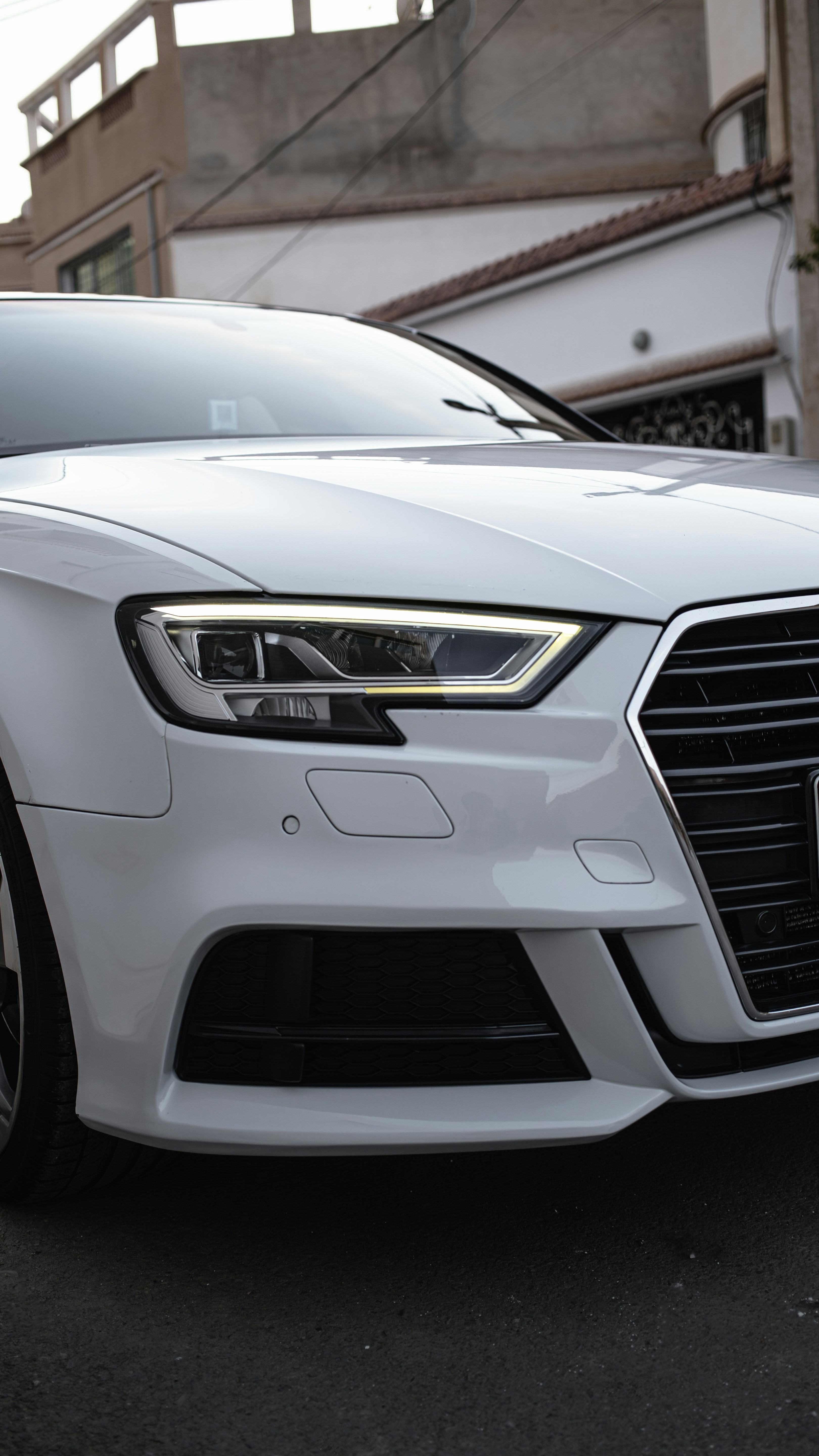 Photo by alpha_photographer