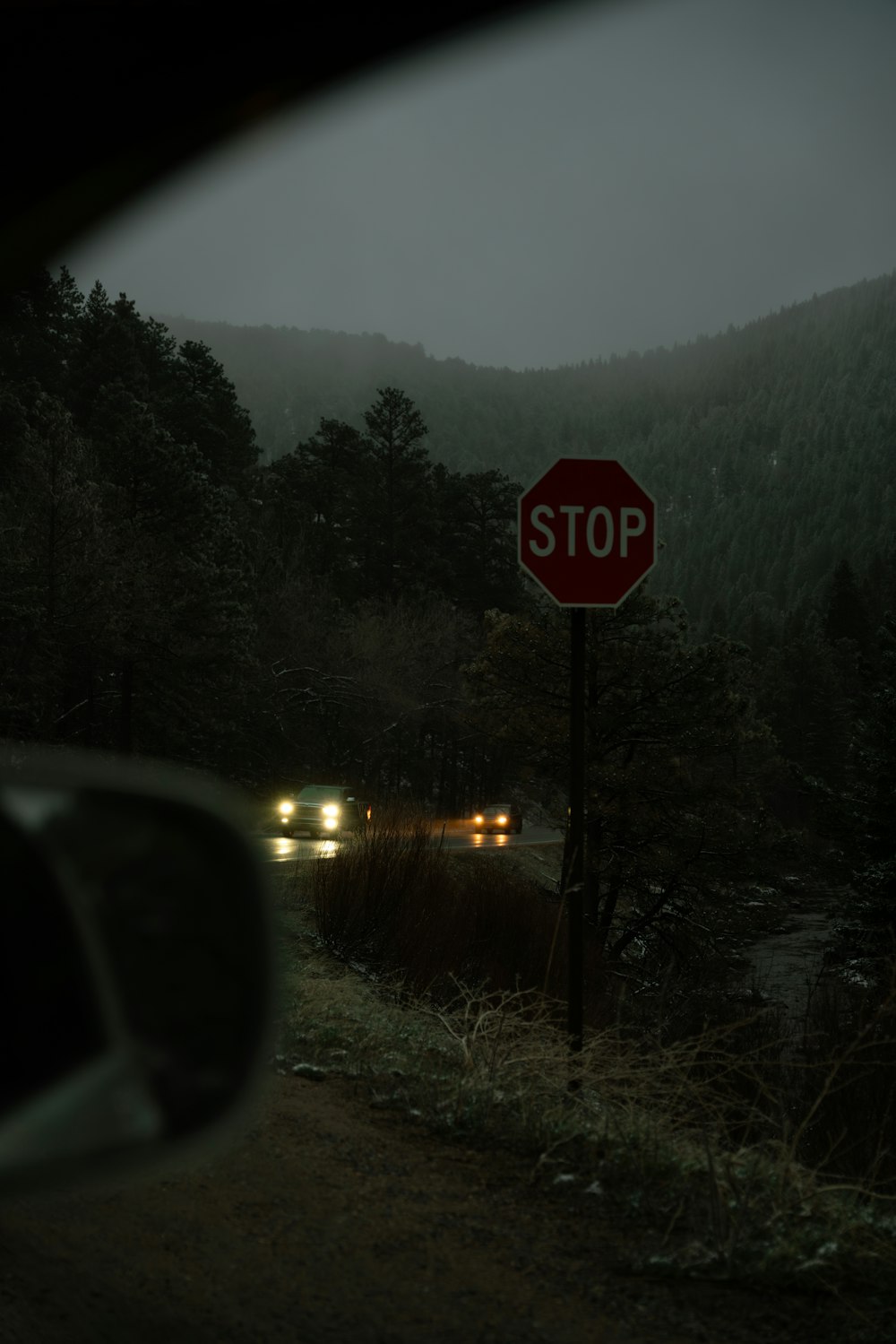 a red stop sign sitting on the side of a road