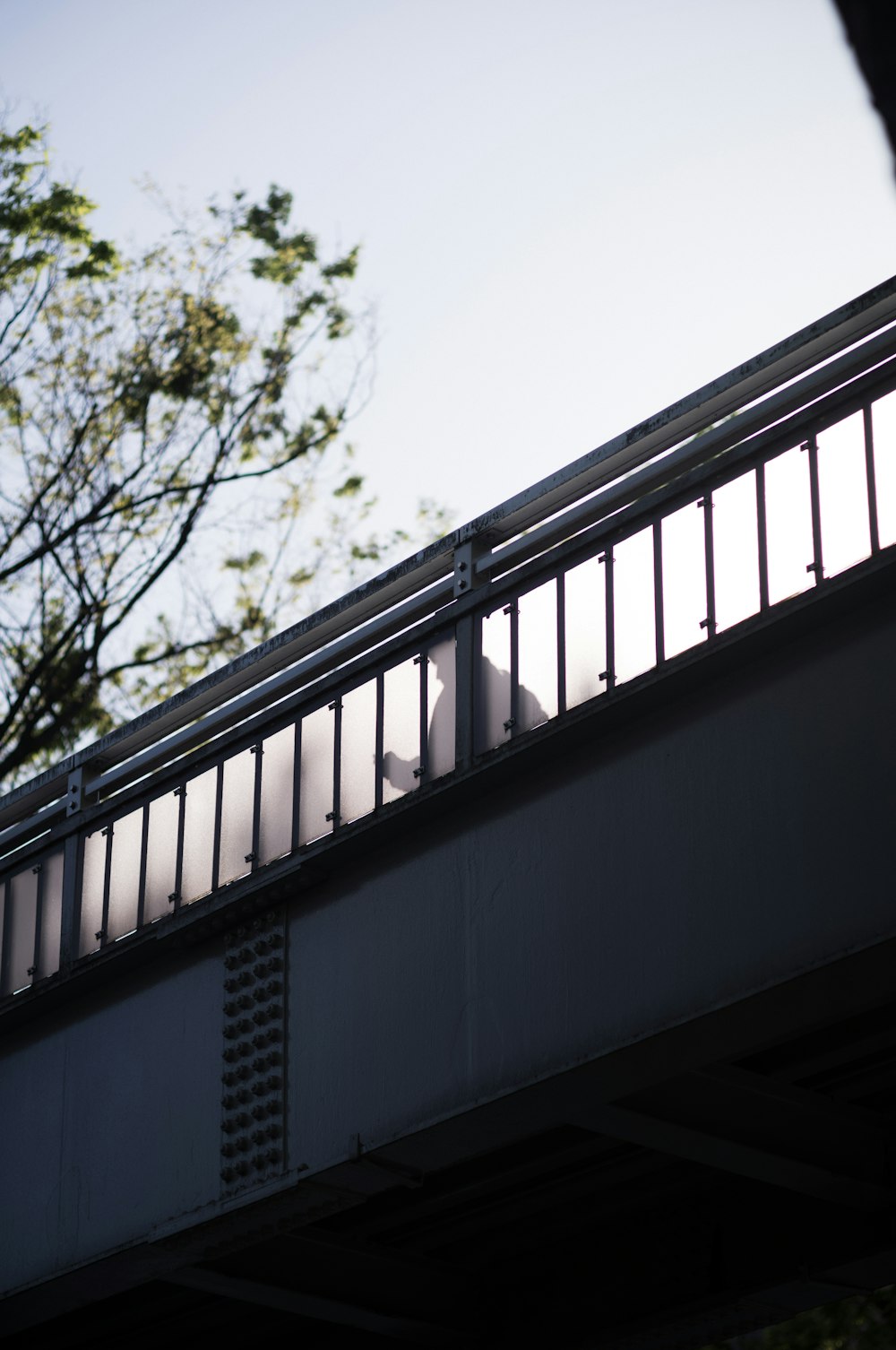 a person riding a skateboard on a bridge