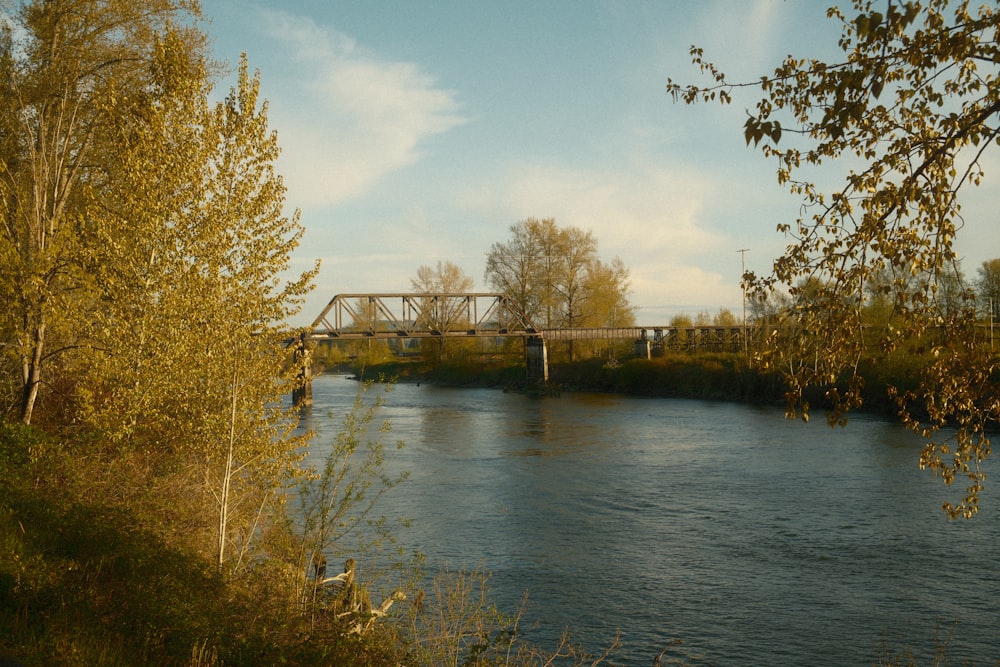 a bridge over a river next to a forest