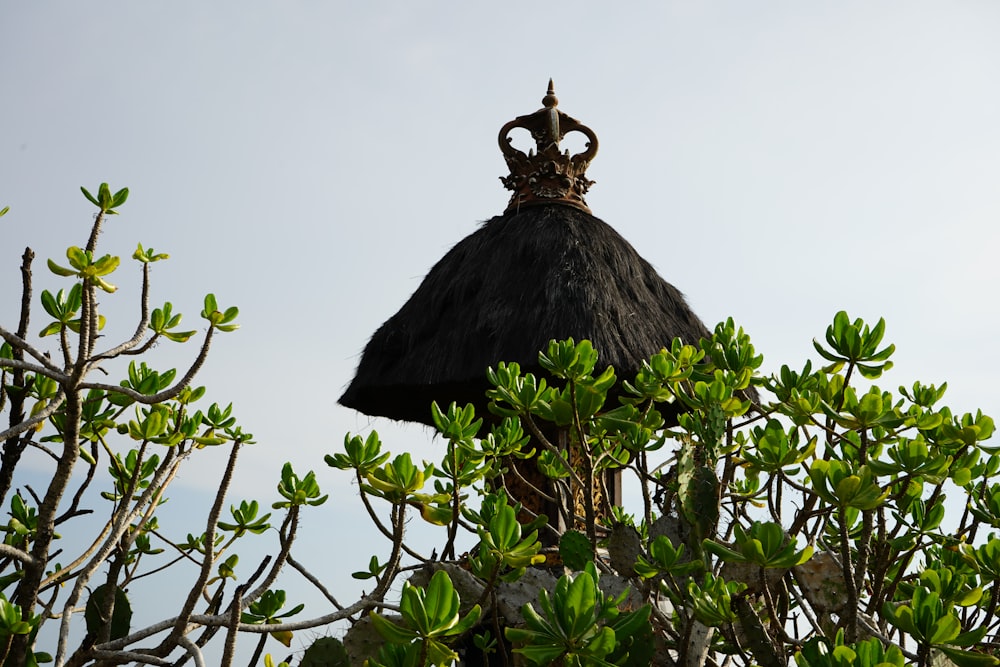 a black roof with a crown on top of it