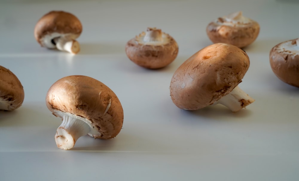 a group of mushrooms sitting on top of a table