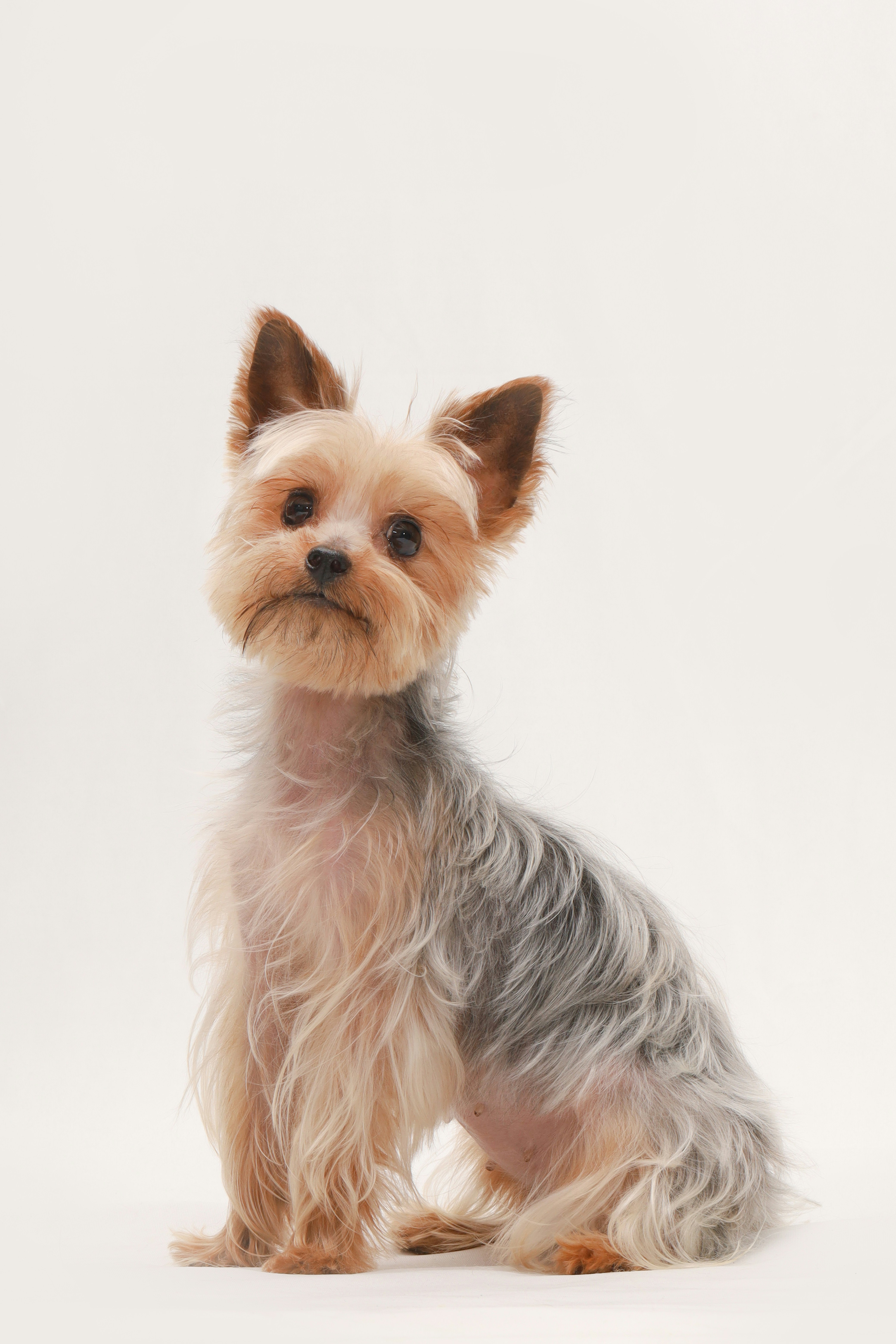 Photo by jhungvisuals