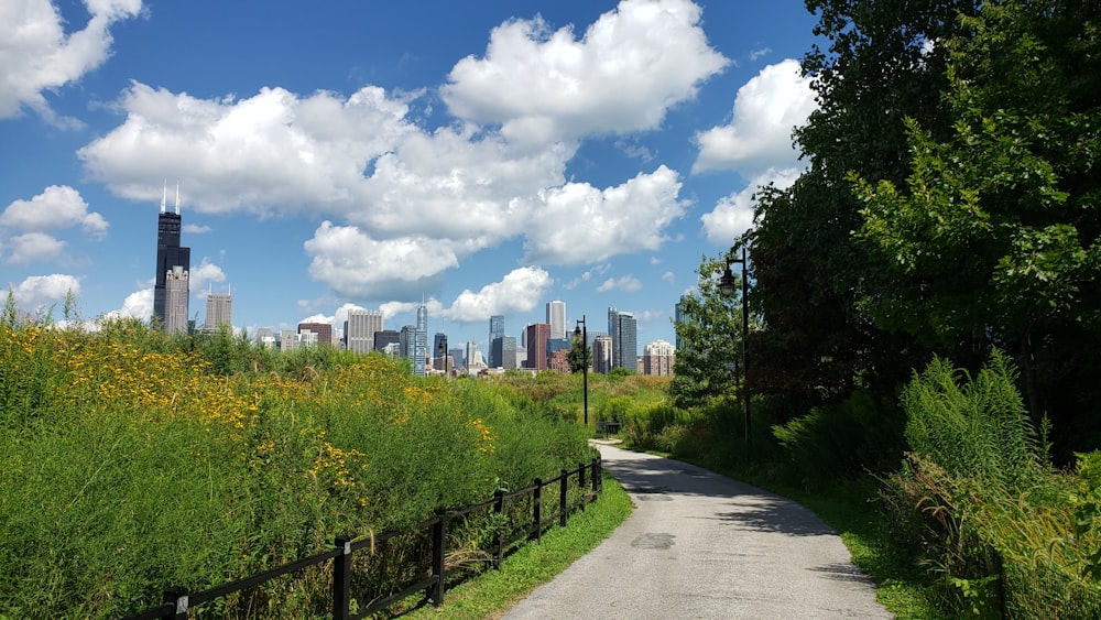 a view of a city skyline from a path