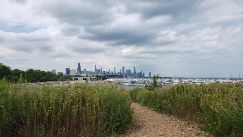 Walking path along the Chicago lakefront with wildflowers, a marina and the city skyline beyond