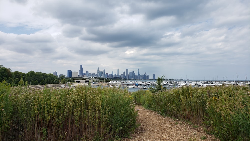 a path leading to a marina with a city in the background