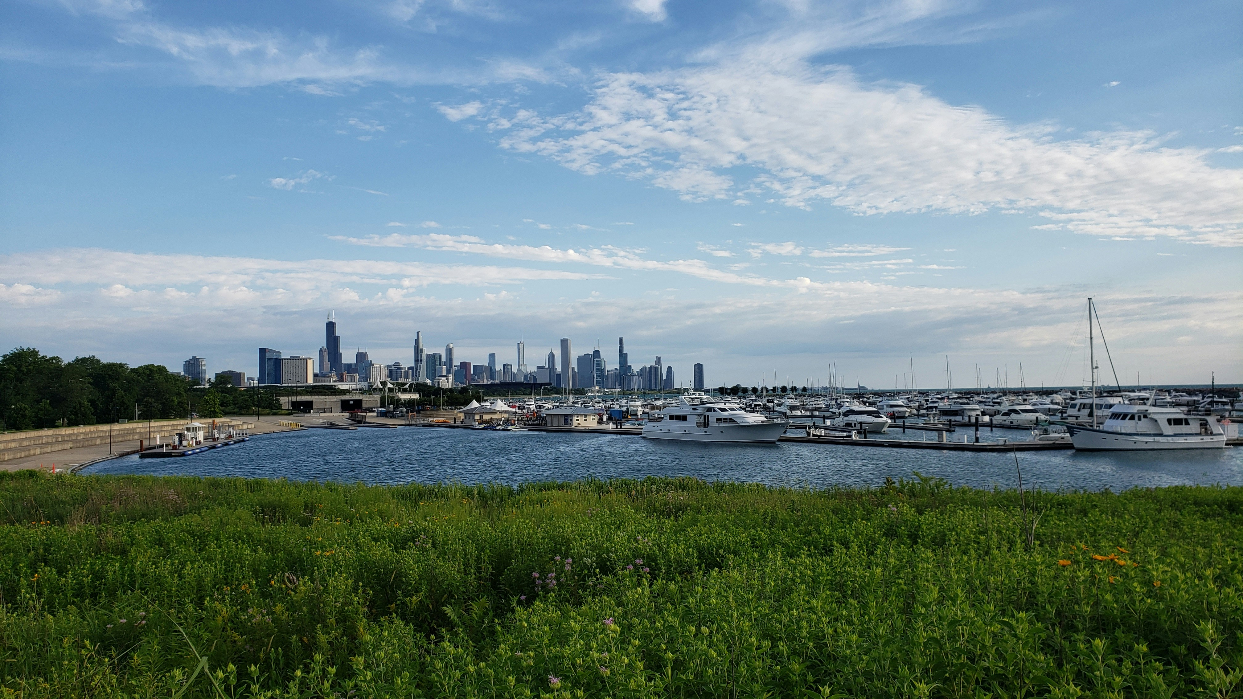 a harbor filled with lots of boats next to a city