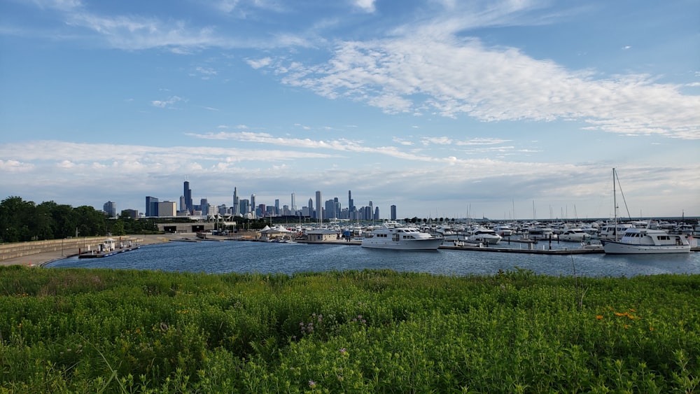 a harbor filled with lots of boats next to a city