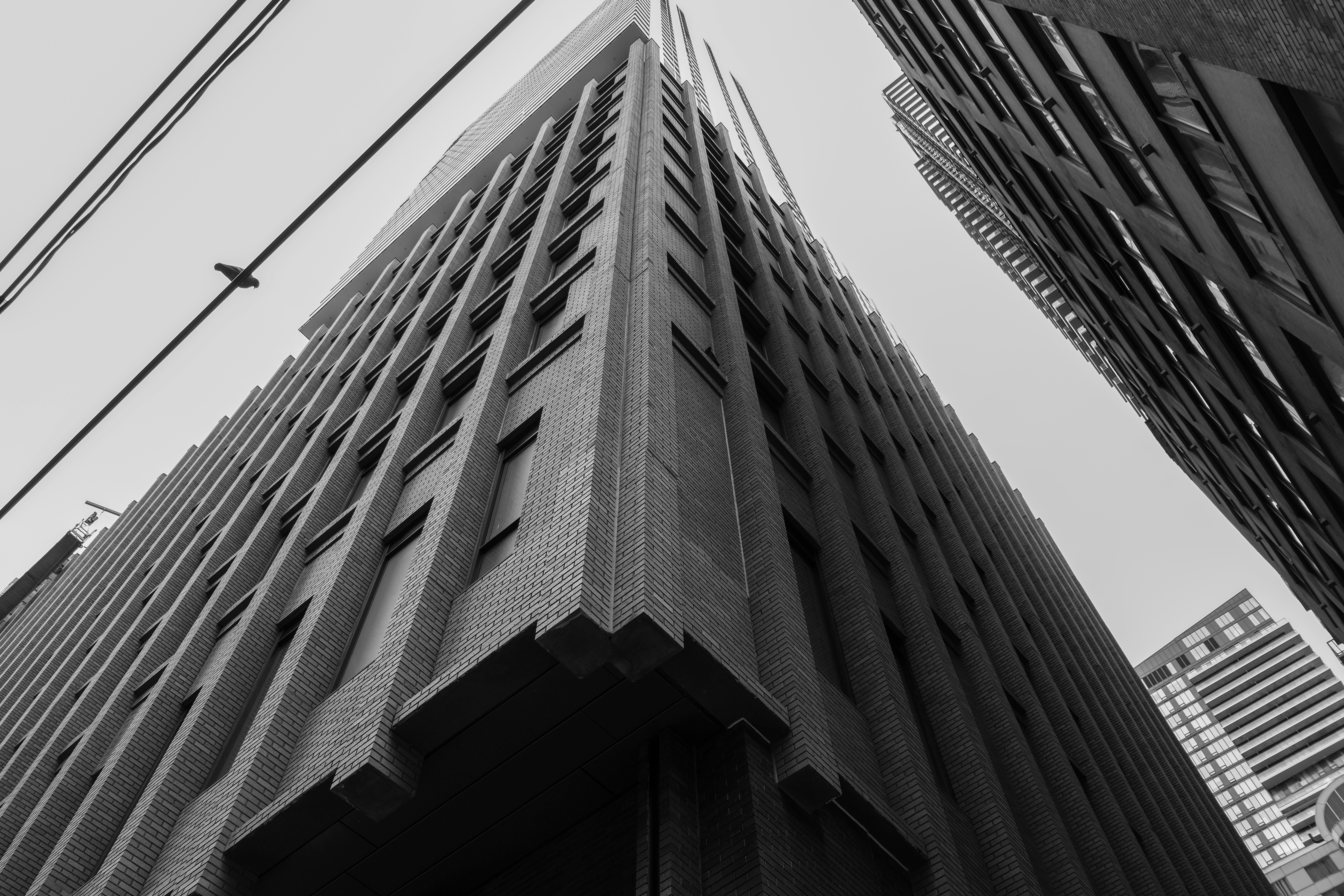 Photo by singhramneek54