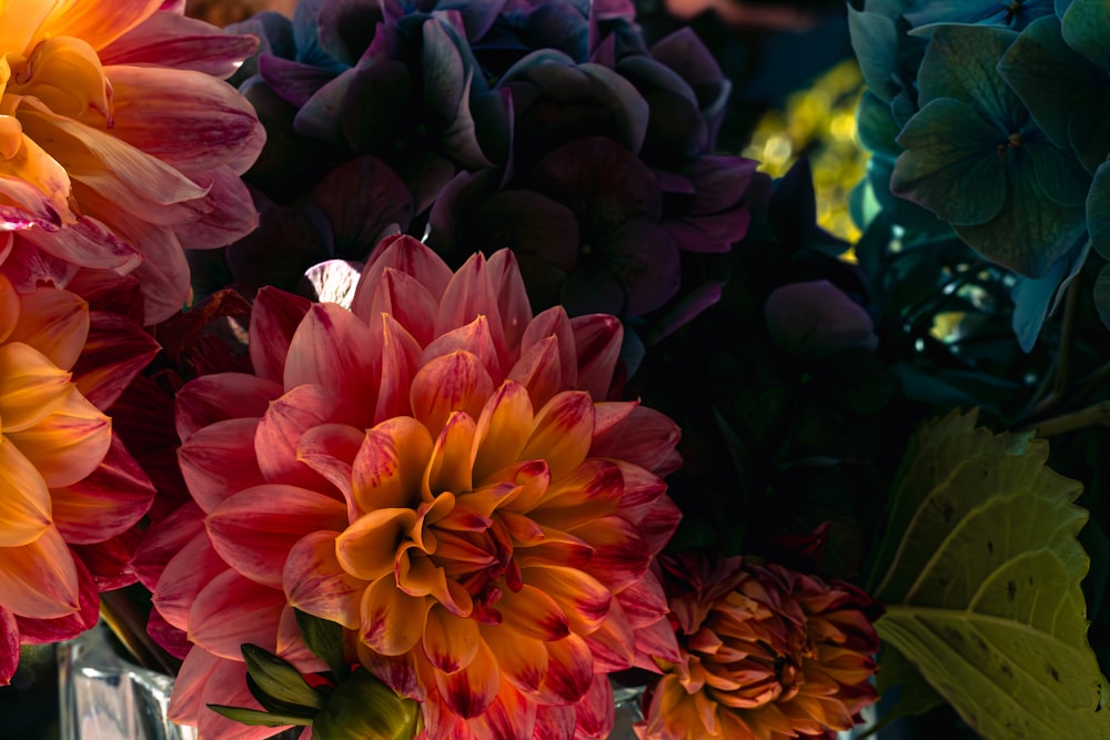 a bunch of flowers that are in a vase