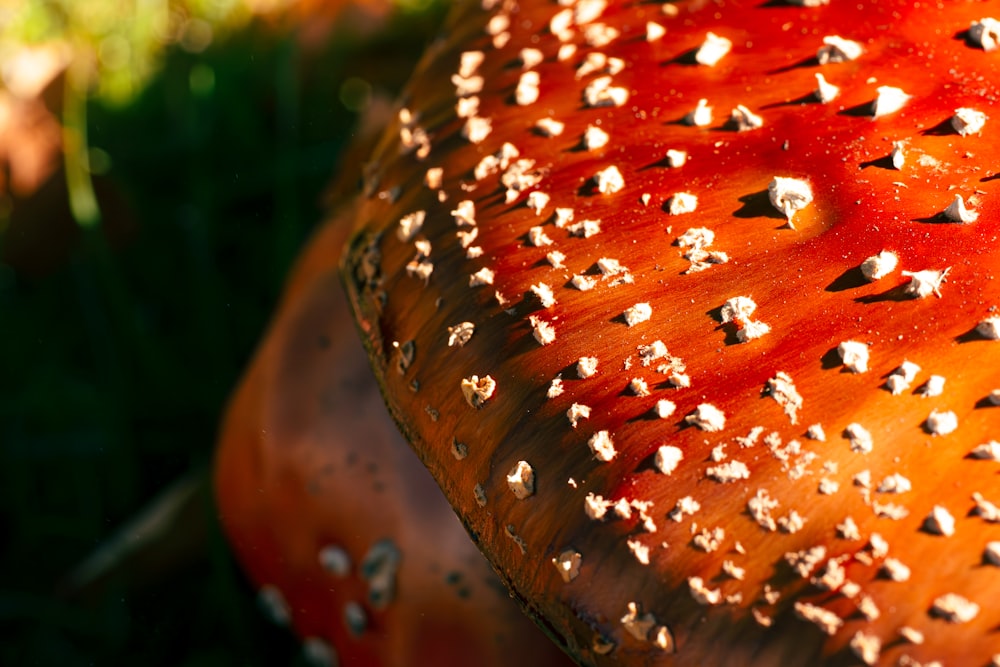 a close up of a wooden bench with lots of rivets on it