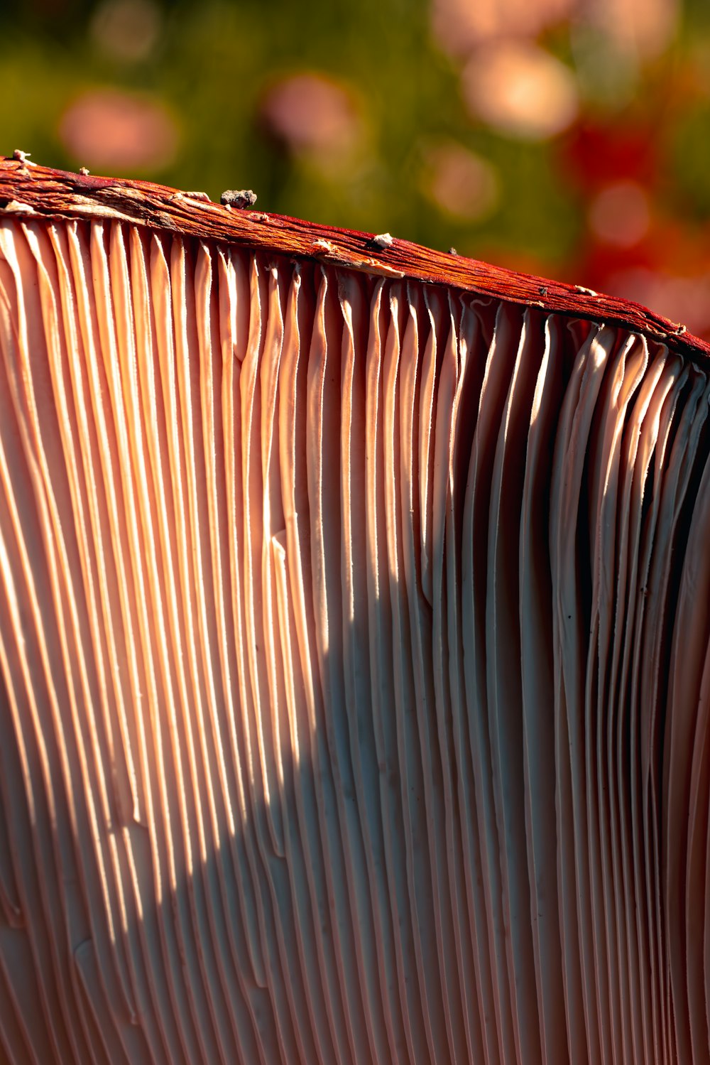 a close up of a metal object with a blurry background