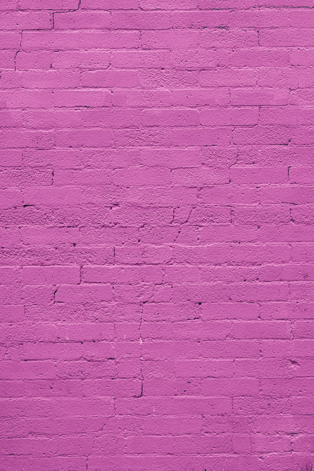 a pink brick wall with a bench in front of it