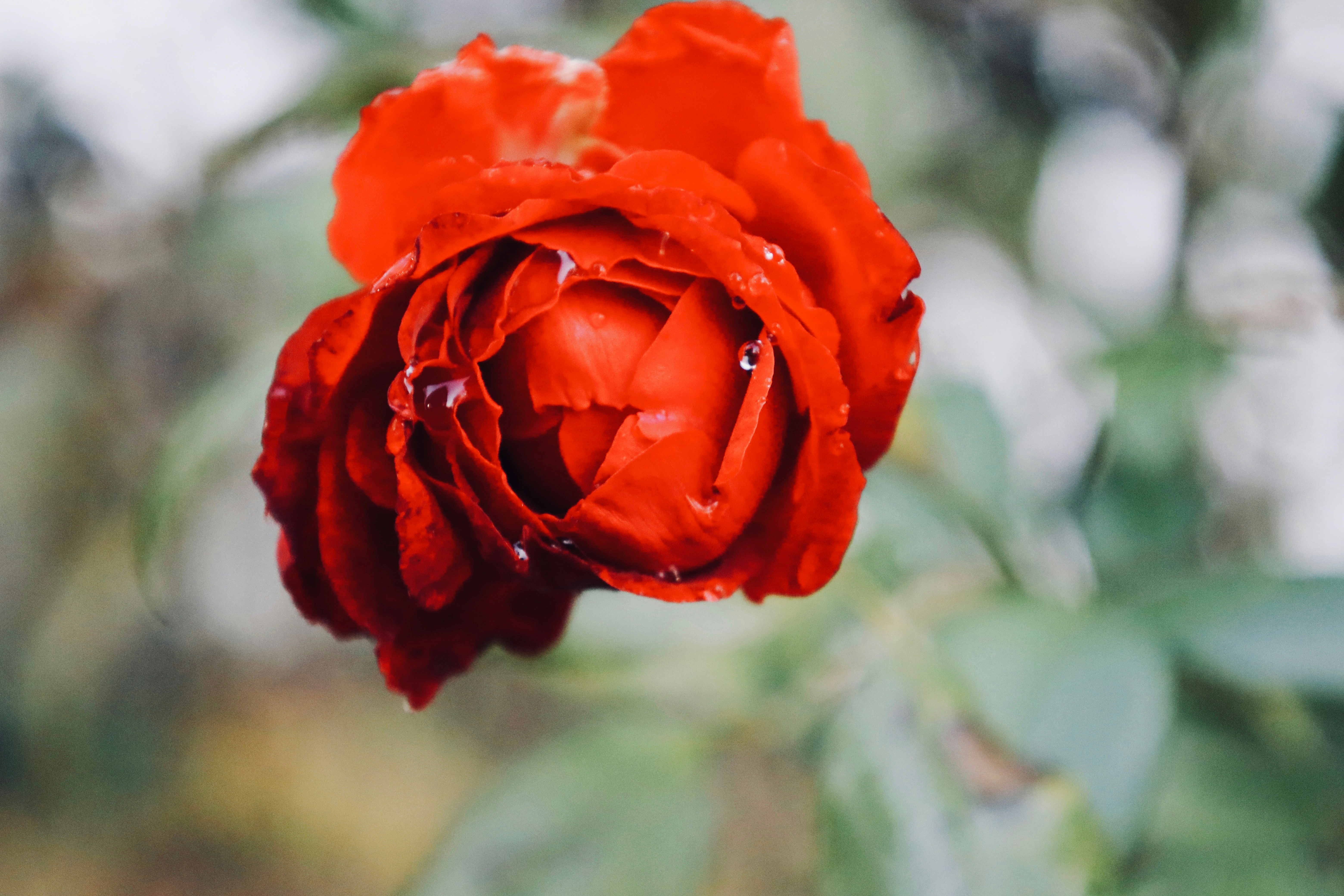 Photo by ananoelleeeee