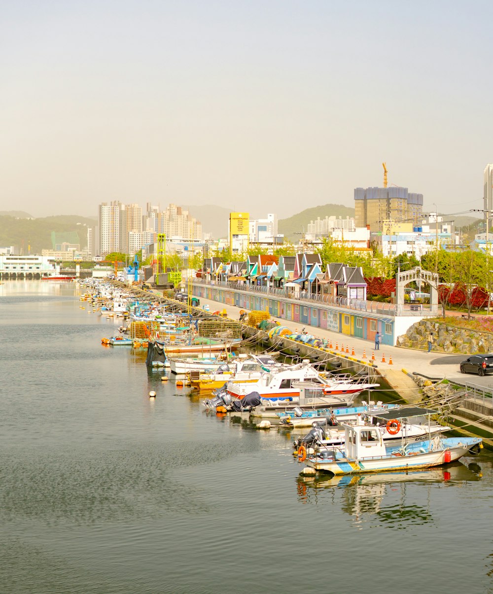 a harbor filled with lots of boats next to tall buildings