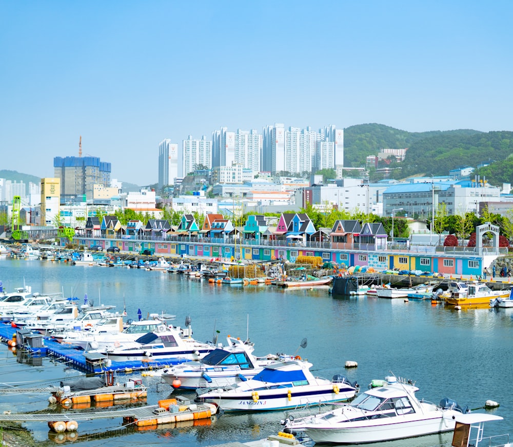 a harbor filled with lots of boats next to tall buildings