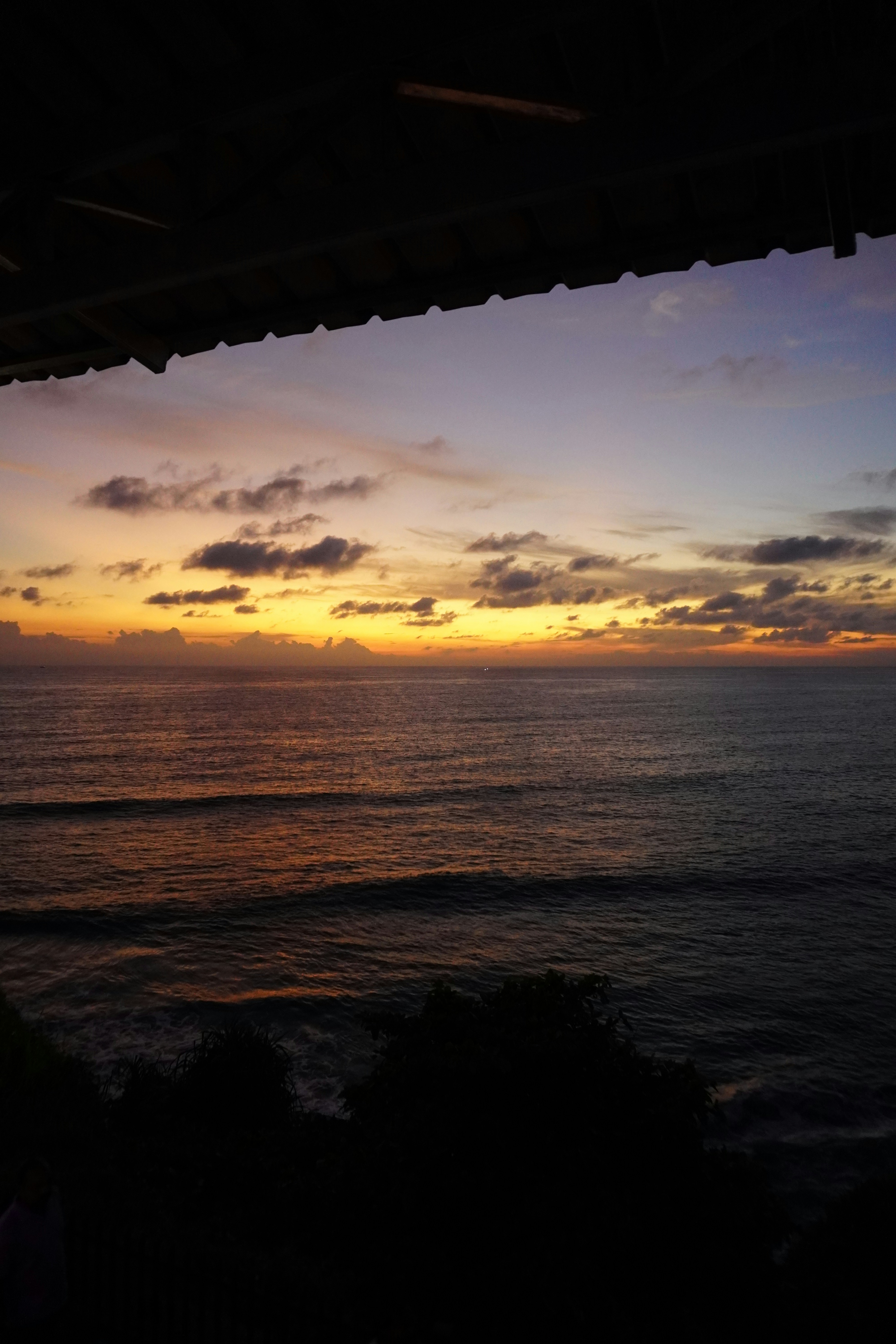 Photo by rohini_shinge