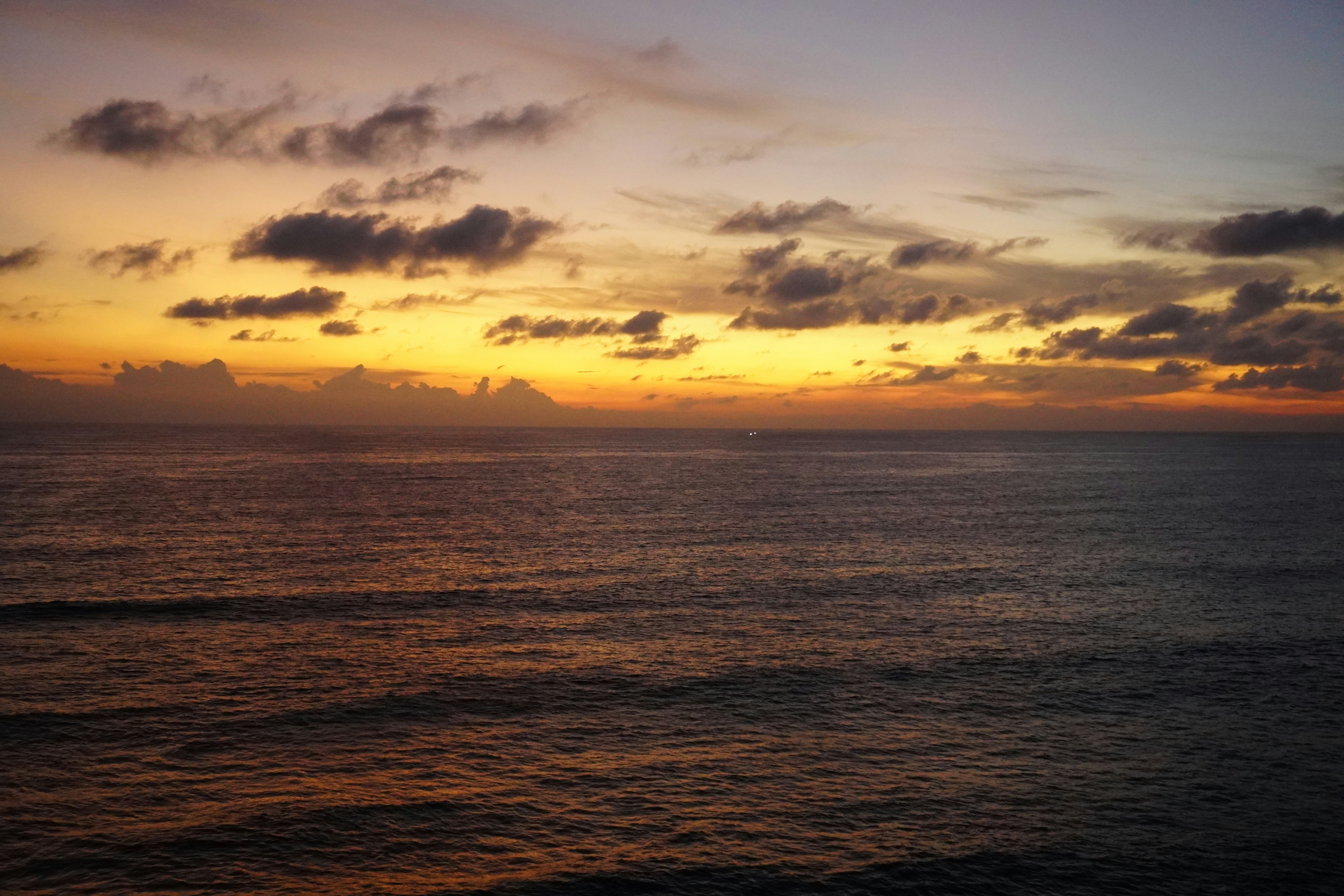 Varkala, India - None