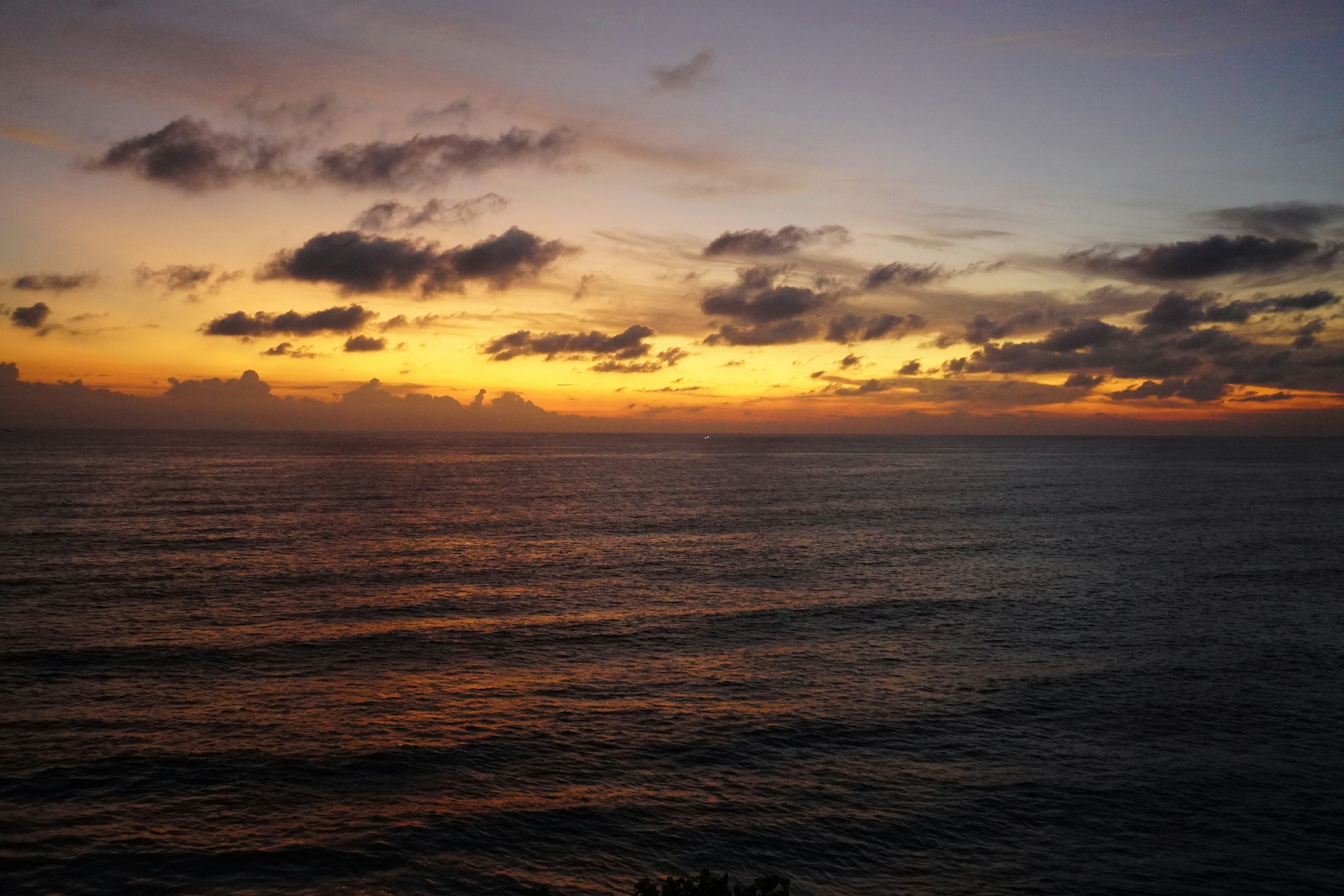 Photo by rohini_shinge