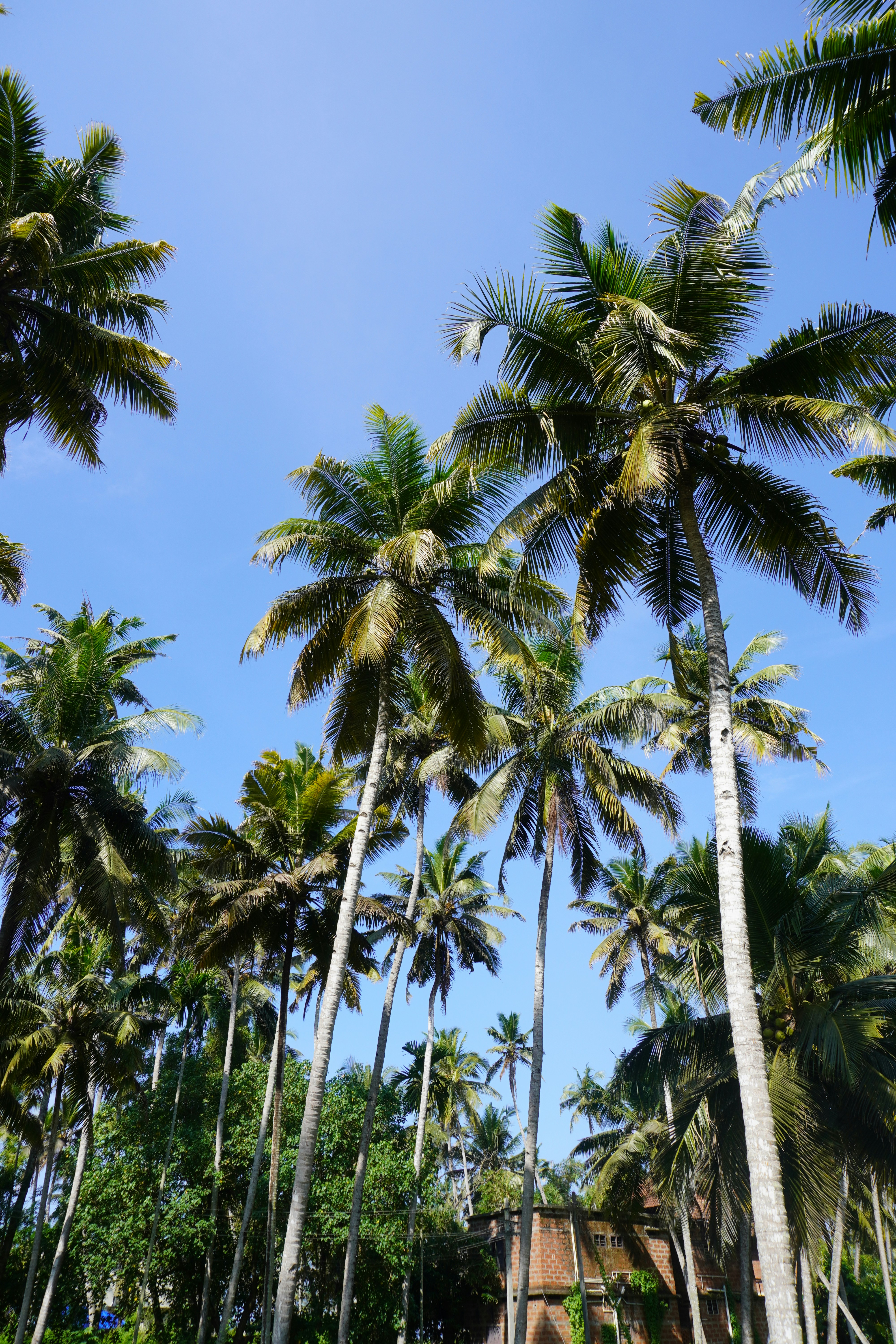 Photo by rohini_shinge